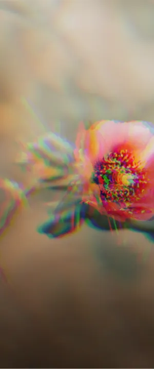 soul's purpose
