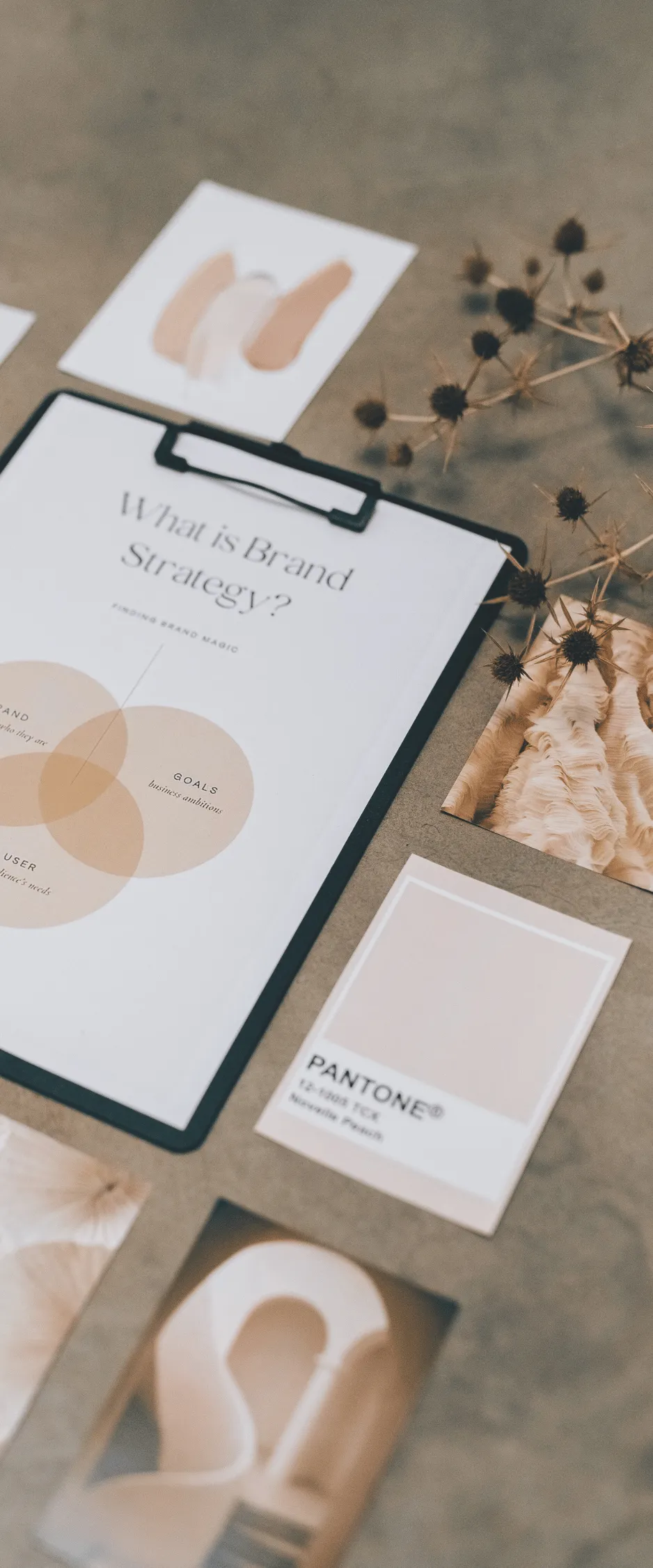 brand architecture