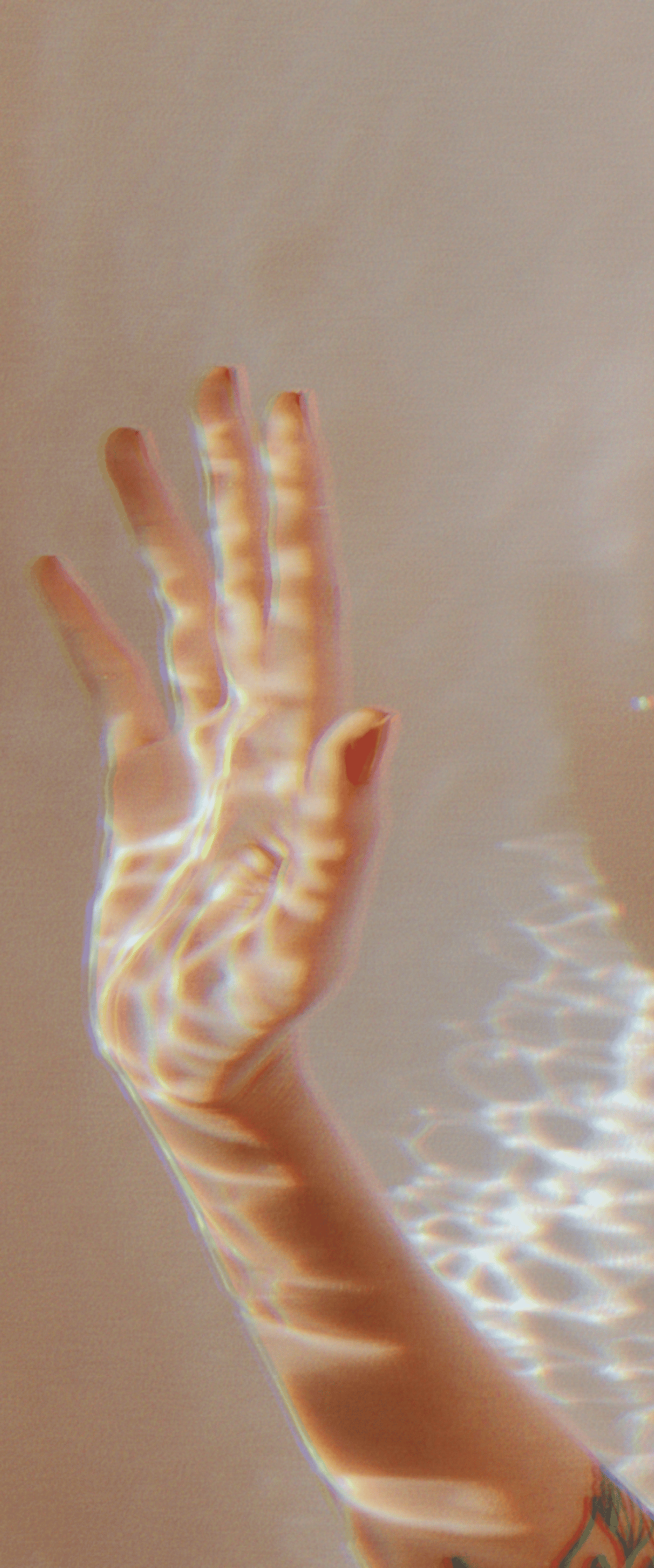 project incubator + branding