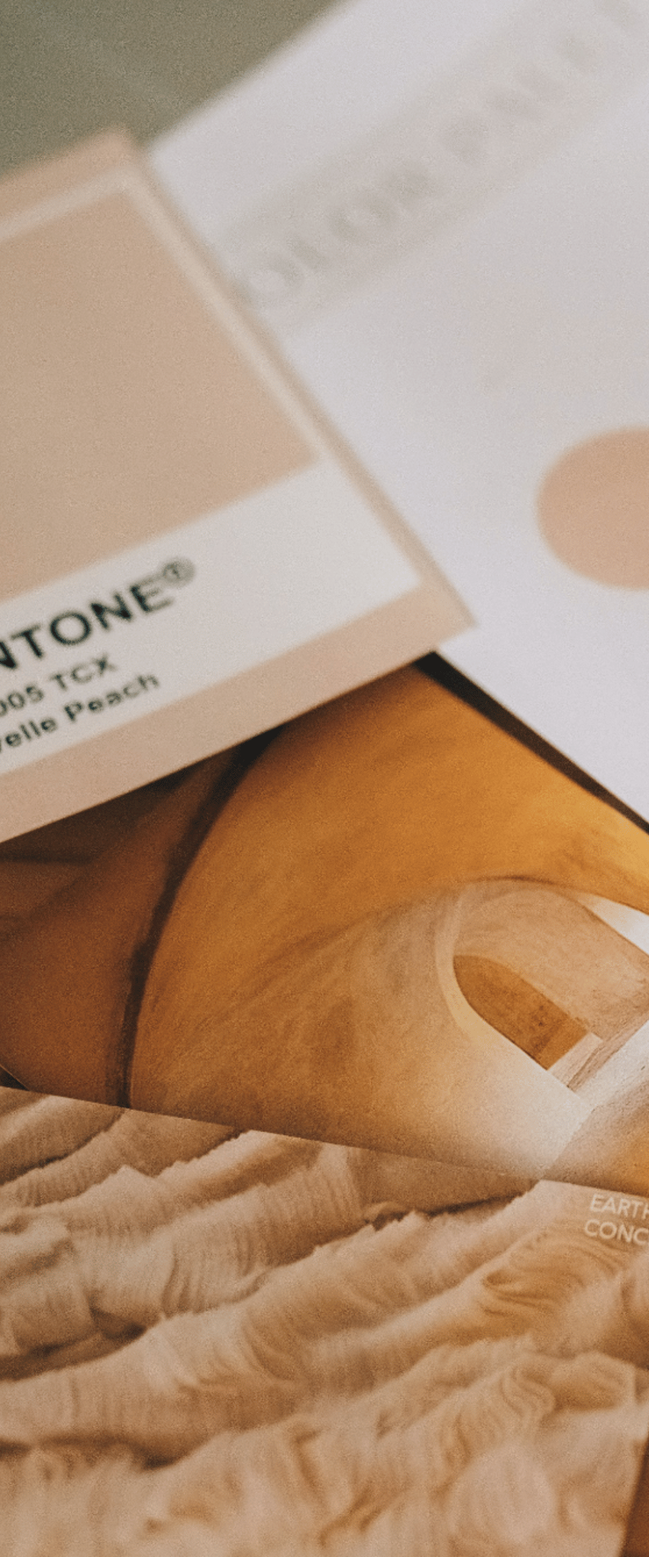 branding + social media