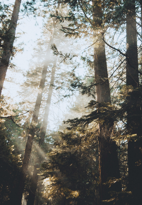 creative residencies