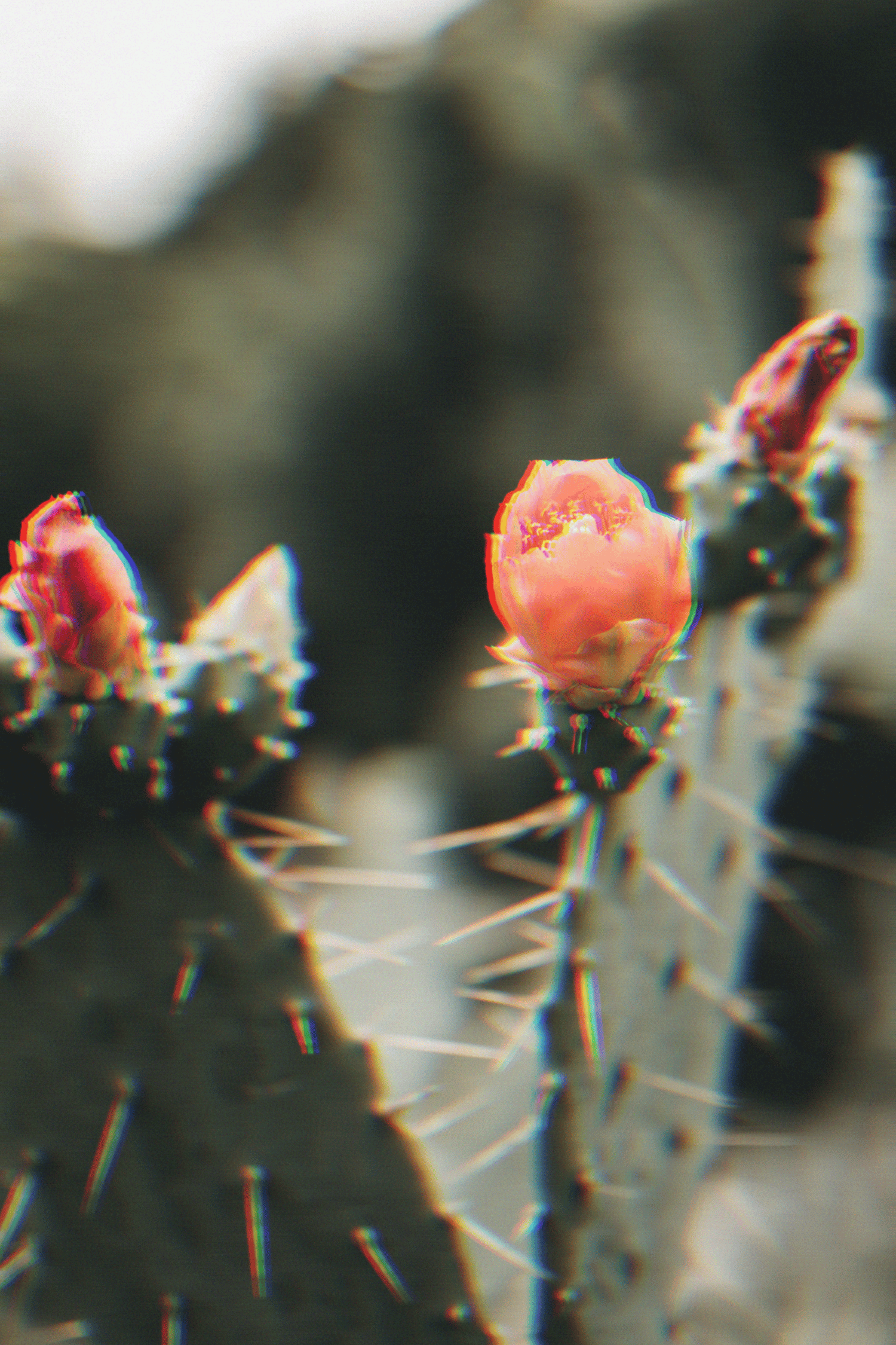 commit to your vision